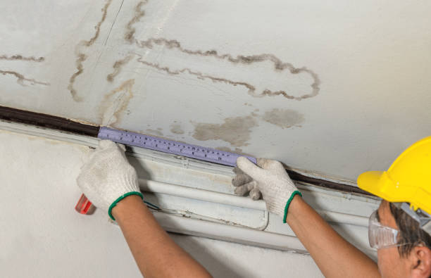 Reliable Burst Pipe Cleanup contractor in Townsend, WI by Water Damage Irwin
